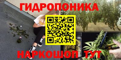 гашик Иваново