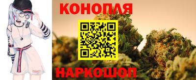 гашик Иваново