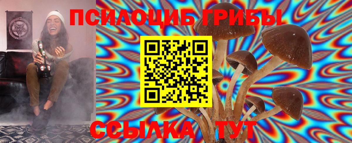 Галлюциногенные грибы MAGIC MUSHROOMS  Вход с VPN  Тосно 