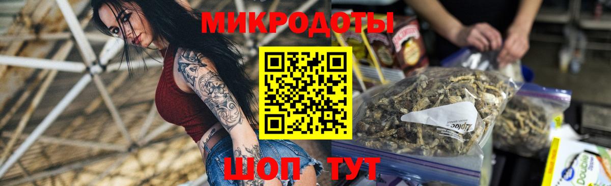 Псилоцибиновые грибы Psilocybe Тосно